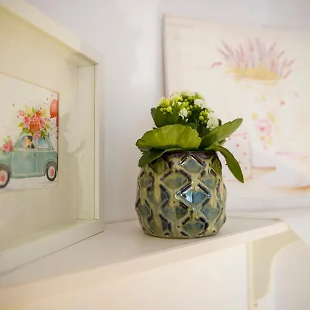 Panorama Chantall-izby,apartmany S Vyhladom Na